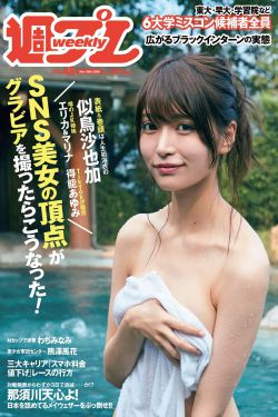 熊出没之猎鹰熊岛